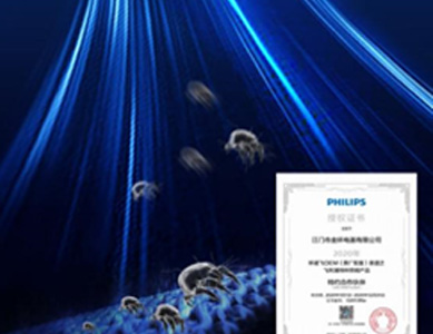 優勢說明 優勢說明