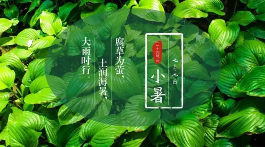 小暑時(shí)節(jié)來到！金環(huán)電器提醒大家要注意的事項(xiàng)